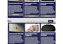 build squarespace website, squarespace redesign, and mega menu